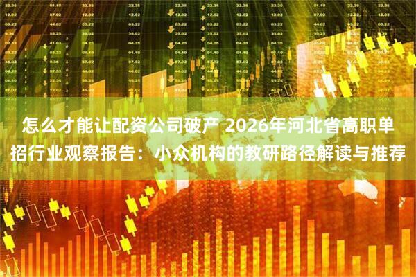 怎么才能让配资公司破产 2026年河北省高职单招行业观察报告：小众机构的教研路径解读与推荐